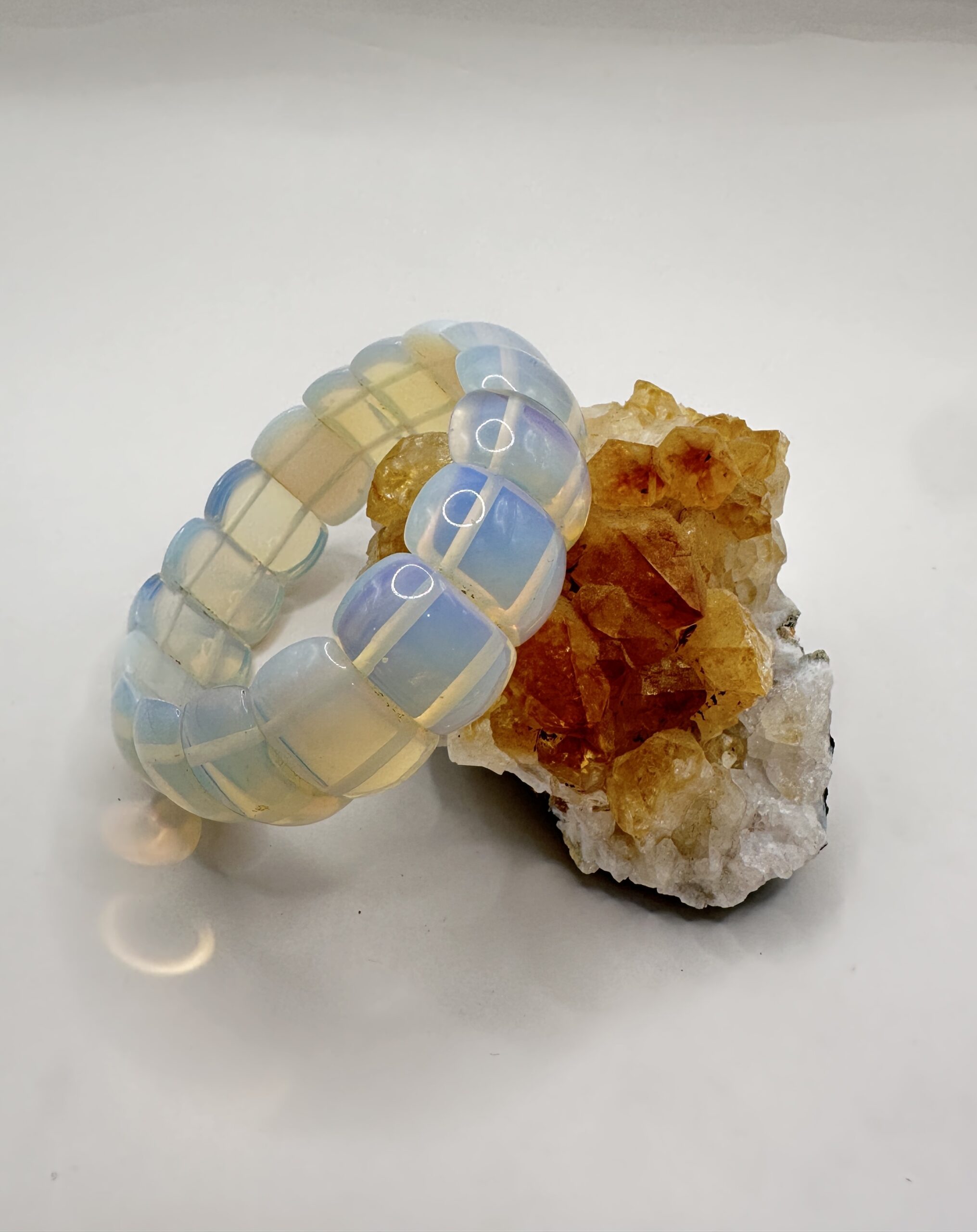 IMG_2479 img 2479 scaled