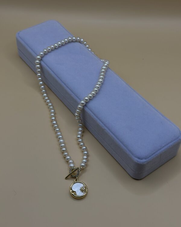 IMG_7829 img 7829 scaled e1736425470136