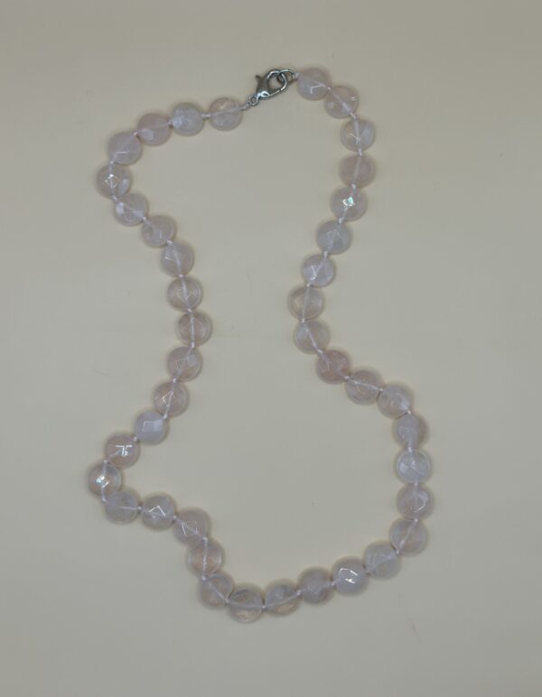 img 7871 la scară e1736429691768