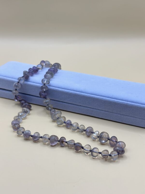 IMG_7898 img 7898 scaled e1736434174982