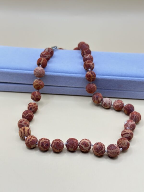 IMG_7934 img 7934 la scară e1736440180421