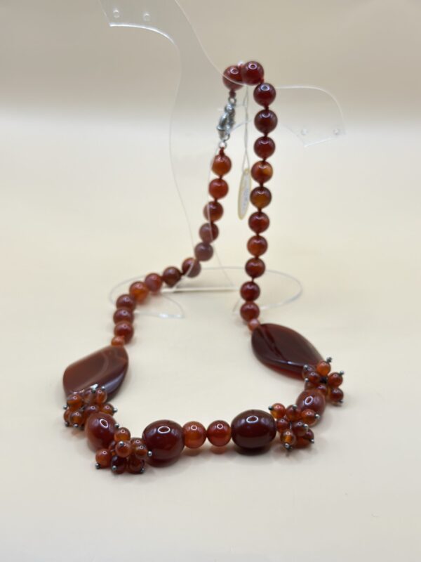 IMG_7946 img 7946 la scară e1736516384252