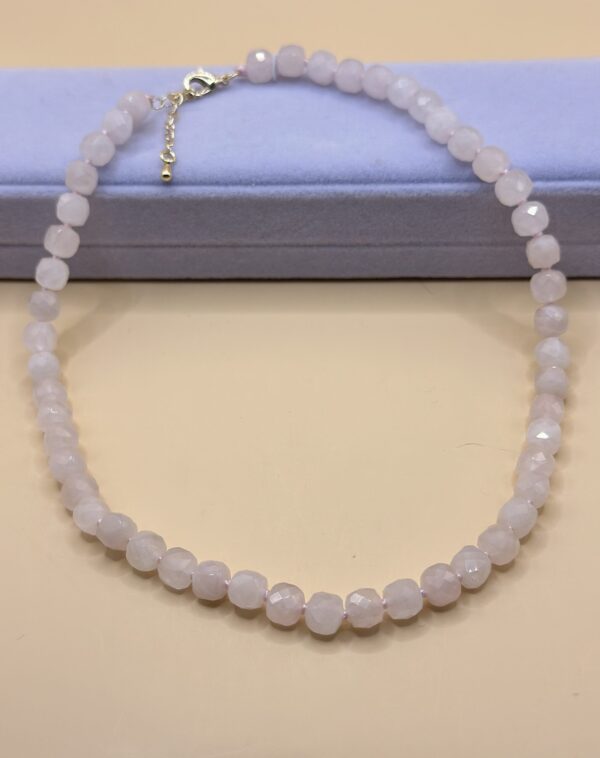 IMG_7965 img 7965 la scară e1736520457466