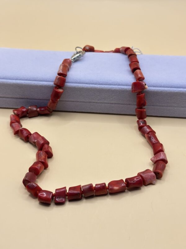 img 7971 scaled e1736521725901