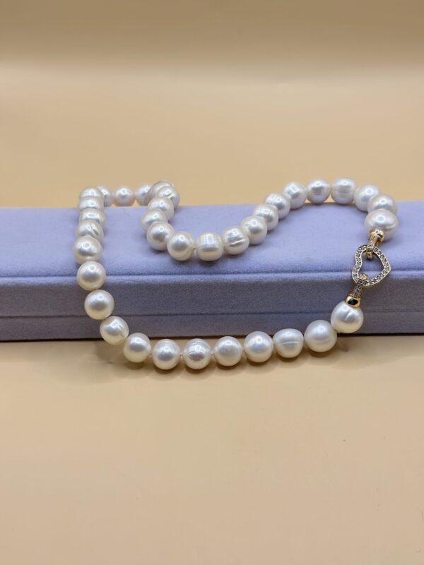 img 7974 la scară e1736522284399