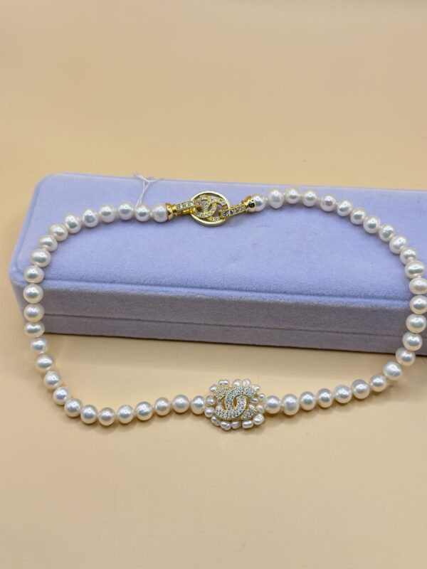 IMG_7977 img 7977 la scară e1736522920964