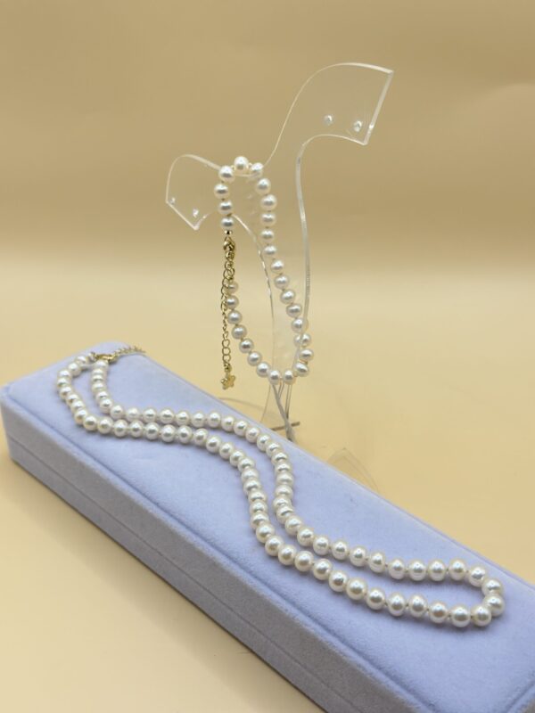 IMG_7989 img 7989 la scară e1736525417252