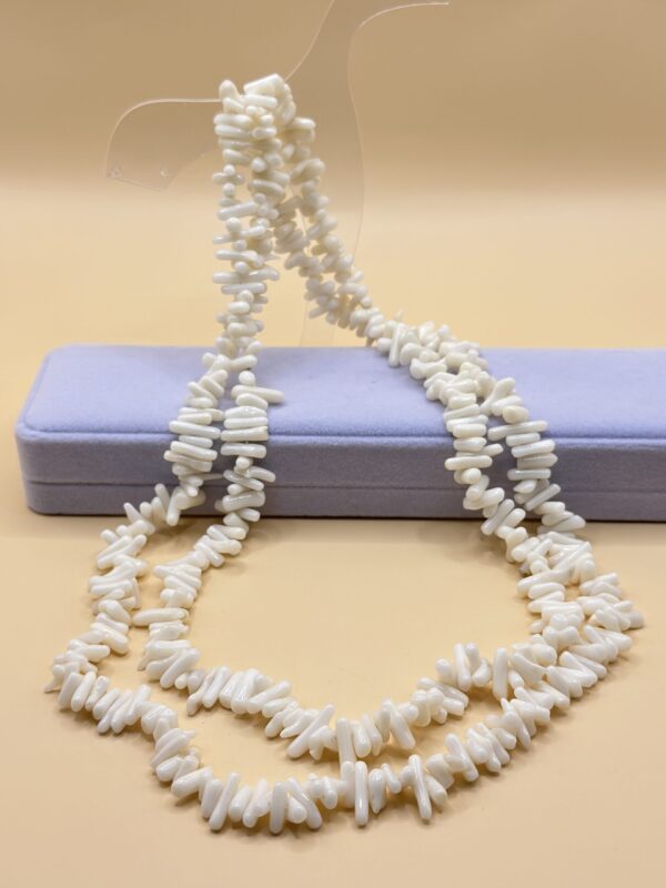 IMG_7994 img 7994 la scară e1736526105807