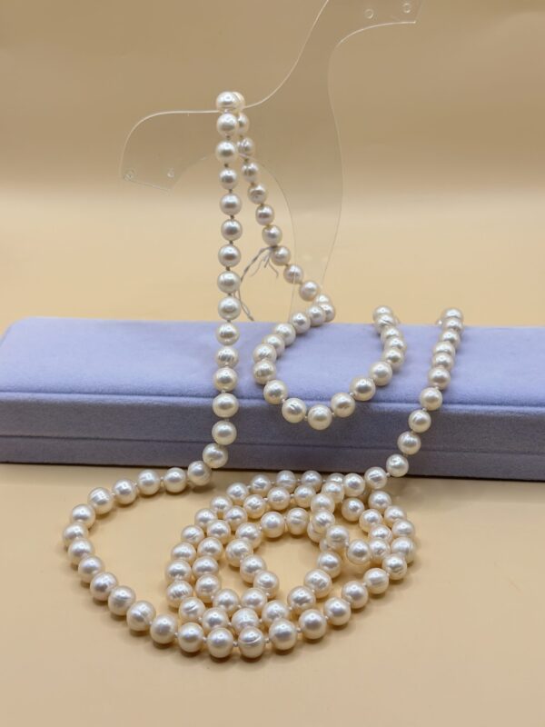 IMG_7996 img 7996 la scară e1736526306971