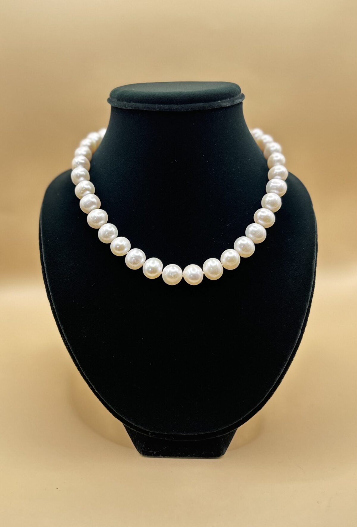 img 8961 scaled e1739283126284