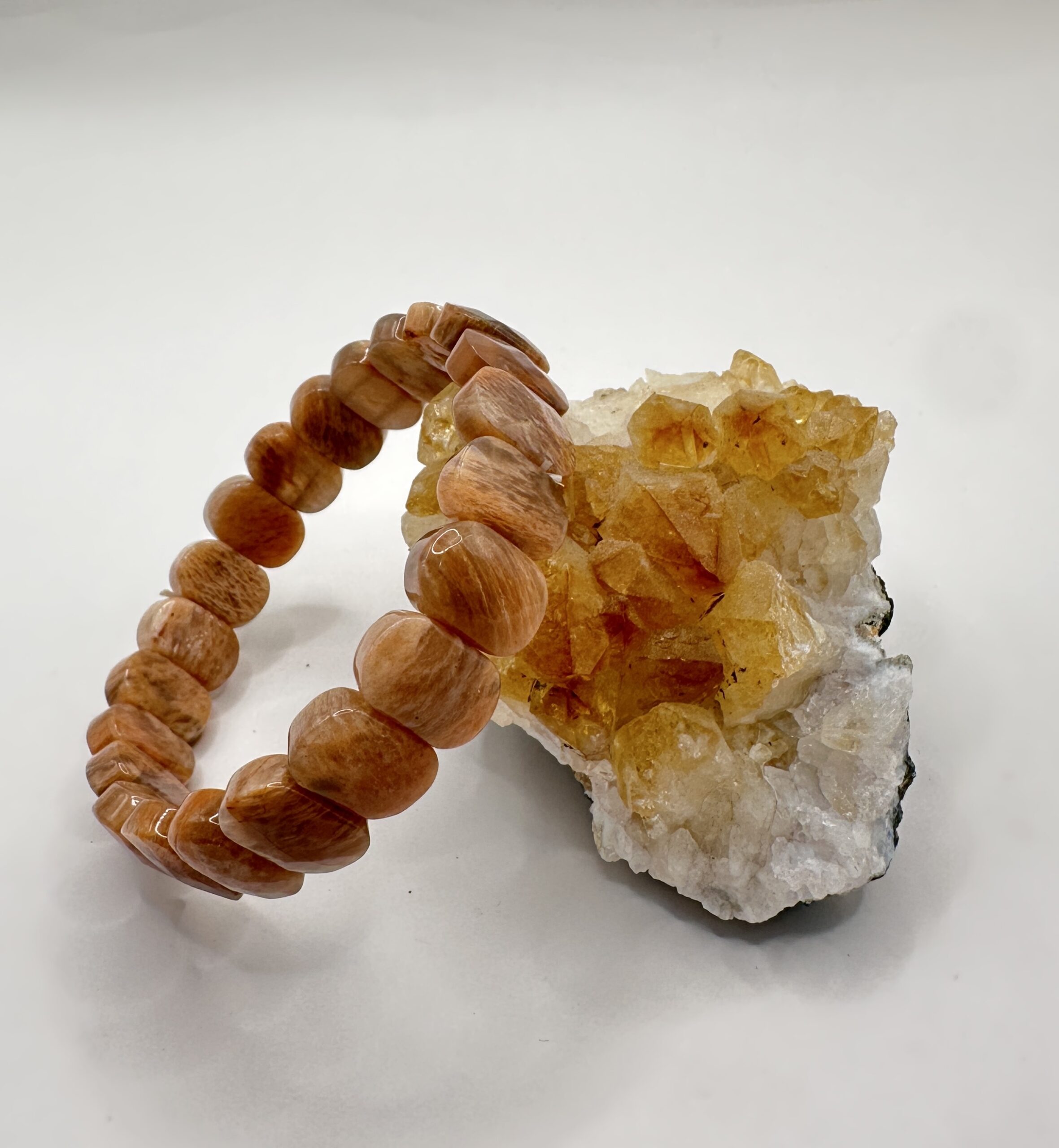 IMG_2482 img 2482 scaled